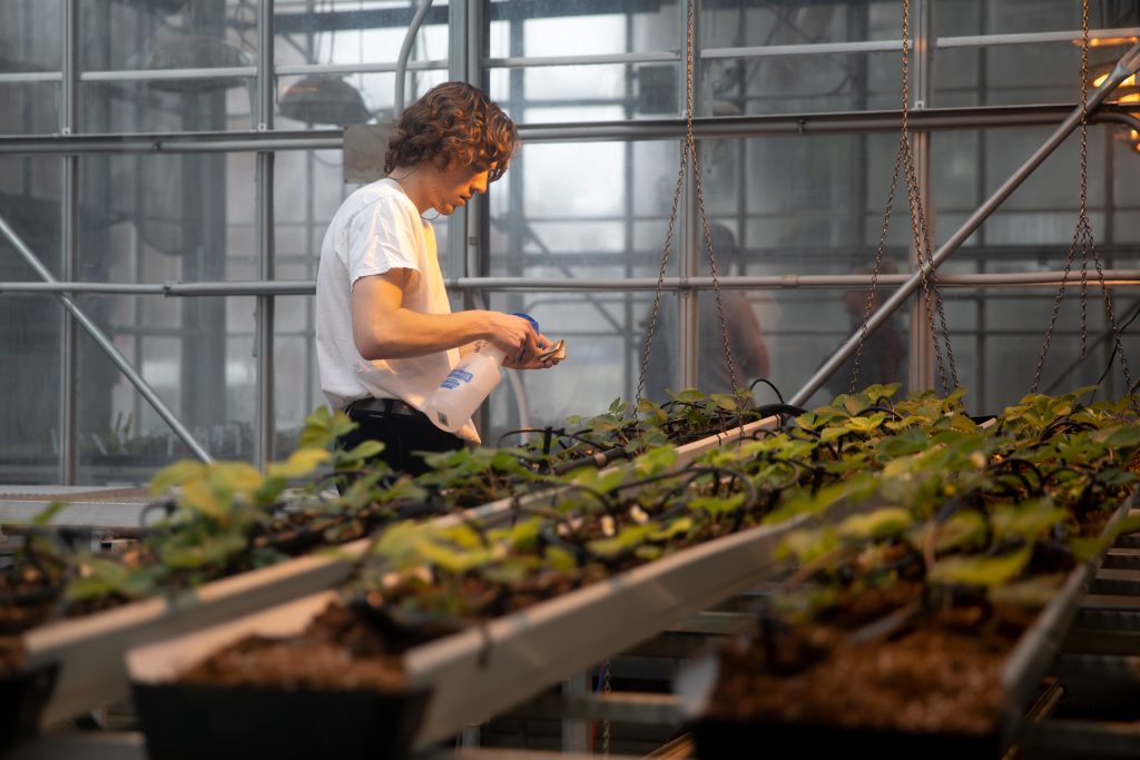 Career Opportunities Department of Horticulture